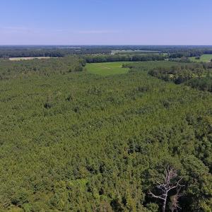 Photo of UNDER CONTRACT!  61.43 Acres of Farm and Timber Land For Sale in Wilson County NC!