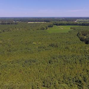 Photo of UNDER CONTRACT!  61.43 Acres of Farm and Timber Land For Sale in Wilson County NC!