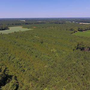 Photo of UNDER CONTRACT!  61.43 Acres of Farm and Timber Land For Sale in Wilson County NC!