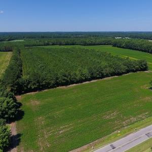Photo of UNDER CONTRACT!  61.43 Acres of Farm and Timber Land For Sale in Wilson County NC!