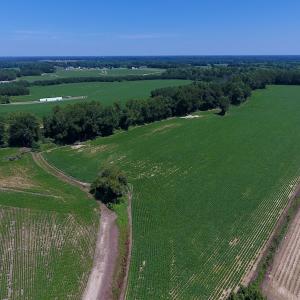 Photo of UNDER CONTRACT!  61.43 Acres of Farm and Timber Land For Sale in Wilson County NC!