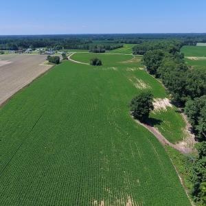 Photo of UNDER CONTRACT!  61.43 Acres of Farm and Timber Land For Sale in Wilson County NC!