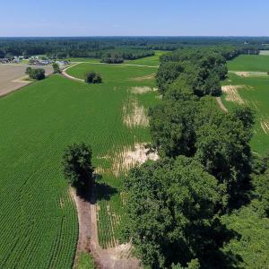 Photo of UNDER CONTRACT!  61.43 Acres of Farm and Timber Land For Sale in Wilson County NC!