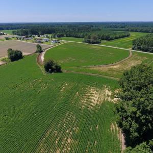 Photo of UNDER CONTRACT!  61.43 Acres of Farm and Timber Land For Sale in Wilson County NC!