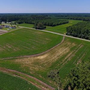 Photo of UNDER CONTRACT!  61.43 Acres of Farm and Timber Land For Sale in Wilson County NC!