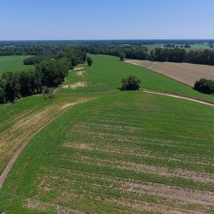Photo of UNDER CONTRACT!  61.43 Acres of Farm and Timber Land For Sale in Wilson County NC!