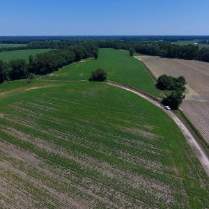 Photo of UNDER CONTRACT!  61.43 Acres of Farm and Timber Land For Sale in Wilson County NC!
