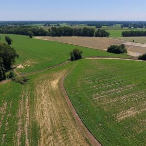 Photo of UNDER CONTRACT!  61.43 Acres of Farm and Timber Land For Sale in Wilson County NC!