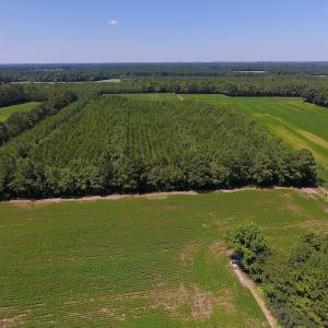 Photo of UNDER CONTRACT!  61.43 Acres of Farm and Timber Land For Sale in Wilson County NC!