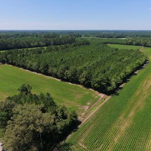 Photo of UNDER CONTRACT!  61.43 Acres of Farm and Timber Land For Sale in Wilson County NC!