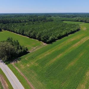 Photo of UNDER CONTRACT!  61.43 Acres of Farm and Timber Land For Sale in Wilson County NC!