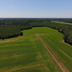 Photo of UNDER CONTRACT!  61.43 Acres of Farm and Timber Land For Sale in Wilson County NC!