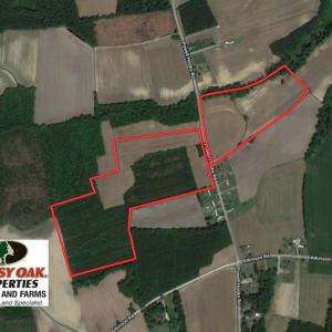 Photo of UNDER CONTRACT!  61.43 Acres of Farm and Timber Land For Sale in Wilson County NC!