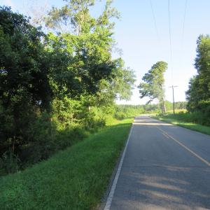 Photo of UNDER CONTRACT!  27.72 Acres of Timber and Hunting Land for Sale in Pender County NC!