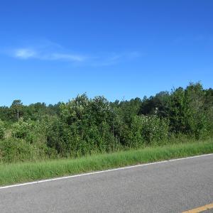 Photo of UNDER CONTRACT!  27.72 Acres of Timber and Hunting Land for Sale in Pender County NC!