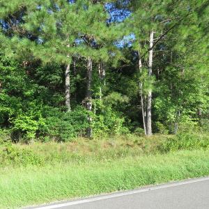Photo of UNDER CONTRACT!  27.72 Acres of Timber and Hunting Land for Sale in Pender County NC!