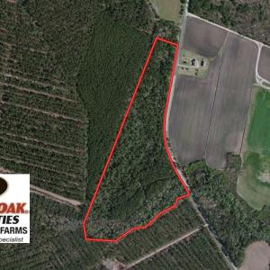 Photo of UNDER CONTRACT!  27.72 Acres of Timber and Hunting Land for Sale in Pender County NC!