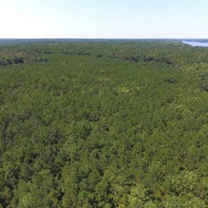 Photo of SOLD!!  11.63 Acres of Recreational Land For Sale in Warren County NC!