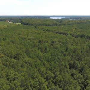 Photo of SOLD!!  11.63 Acres of Recreational Land For Sale in Warren County NC!