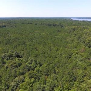 Photo of SOLD!!  11.63 Acres of Recreational Land For Sale in Warren County NC!