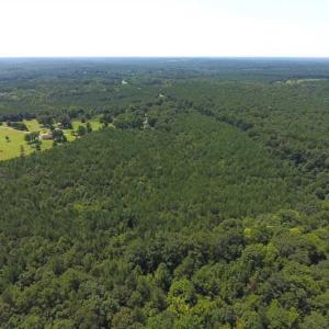 Photo of SOLD!!  11.63 Acres of Recreational Land For Sale in Warren County NC!