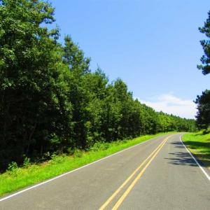 Photo of SOLD!!  11.63 Acres of Recreational Land For Sale in Warren County NC!