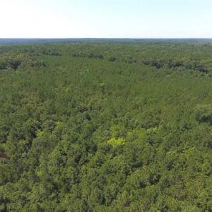 Photo of SOLD!!  11.63 Acres of Recreational Land For Sale in Warren County NC!
