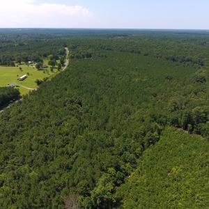 Photo of UNDER CONTRACT!  11.63 Acres of Recreational Land For Sale in Warren County NC!