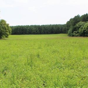 Photo of UNDER CONTRACT!  25 Acres of Recreational Land For Sale in Lunenburg County VA!
