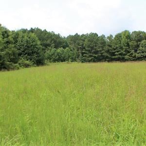 Photo of UNDER CONTRACT!  25 Acres of Recreational Land For Sale in Lunenburg County VA!
