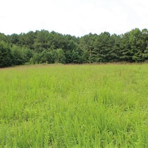 Photo of UNDER CONTRACT!  25 Acres of Recreational Land For Sale in Lunenburg County VA!