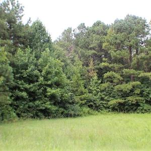 Photo of UNDER CONTRACT!  25 Acres of Recreational Land For Sale in Lunenburg County VA!