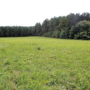 Photo of UNDER CONTRACT!  25 Acres of Recreational Land For Sale in Lunenburg County VA!