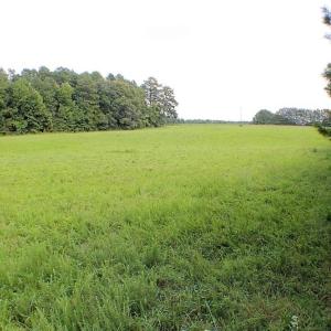 Photo of UNDER CONTRACT!  25 Acres of Recreational Land For Sale in Lunenburg County VA!