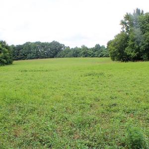 Photo of UNDER CONTRACT!  25 Acres of Recreational Land For Sale in Lunenburg County VA!