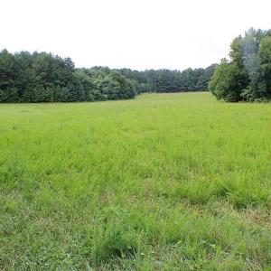 Photo of UNDER CONTRACT!  25 Acres of Recreational Land For Sale in Lunenburg County VA!
