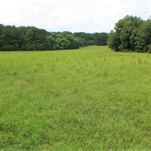 Photo of UNDER CONTRACT!  25 Acres of Recreational Land For Sale in Lunenburg County VA!