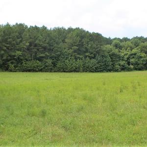 Photo of UNDER CONTRACT!  25 Acres of Recreational Land For Sale in Lunenburg County VA!