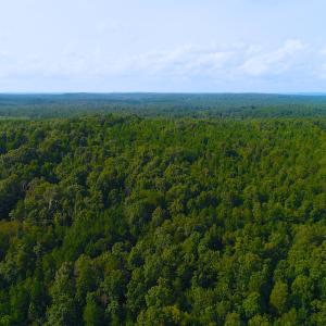 Photo of UNDER CONTRACT! 15 Acres of Residential Land For Sale in Chatham County NC!