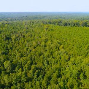 Photo of UNDER CONTRACT! 15 Acres of Residential Land For Sale in Chatham County NC!