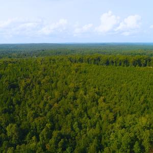 Photo of UNDER CONTRACT! 15 Acres of Residential Land For Sale in Chatham County NC!