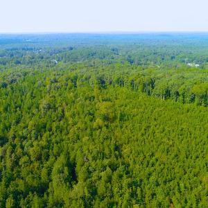 Photo of UNDER CONTRACT! 15 Acres of Residential Land For Sale in Chatham County NC!