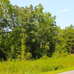 Photo of UNDER CONTRACT! 15 Acres of Residential Land For Sale in Chatham County NC!