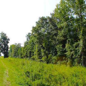 Photo of UNDER CONTRACT! 15 Acres of Residential Land For Sale in Chatham County NC!