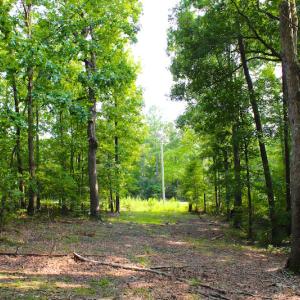 Photo of UNDER CONTRACT! 15 Acres of Residential Land For Sale in Chatham County NC!