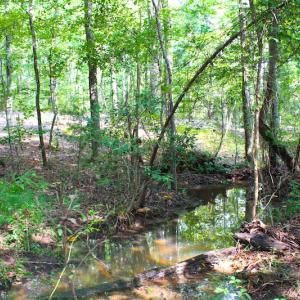 Photo of UNDER CONTRACT! 15 Acres of Residential Land For Sale in Chatham County NC!