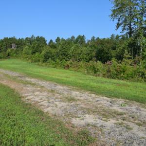Photo of UNDER CONTRACT!  10 Acres of Hunting Land For Sale in Henry County VA!