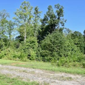Photo of UNDER CONTRACT!  10 Acres of Hunting Land For Sale in Henry County VA!