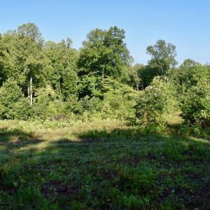 Photo of UNDER CONTRACT!  10 Acres of Hunting Land For Sale in Henry County VA!
