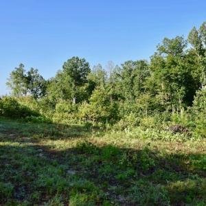 Photo of UNDER CONTRACT!  10 Acres of Hunting Land For Sale in Henry County VA!